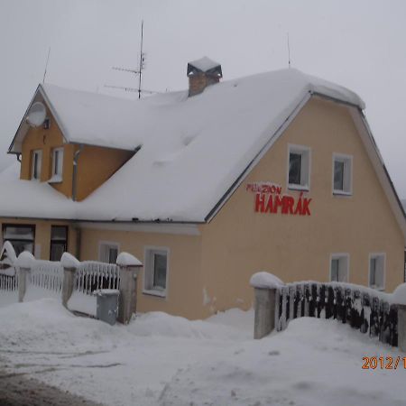 Penzion Hamrak Ceske Hamry Exteriör bild
