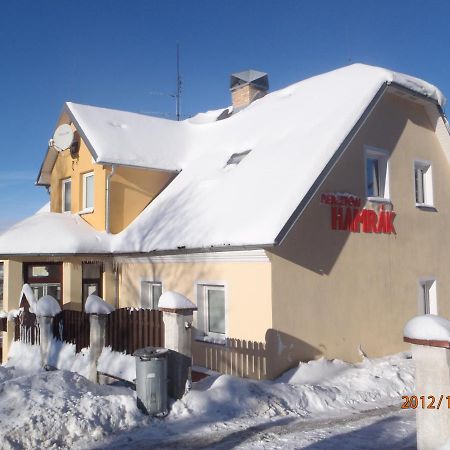 Penzion Hamrak Ceske Hamry Exteriör bild
