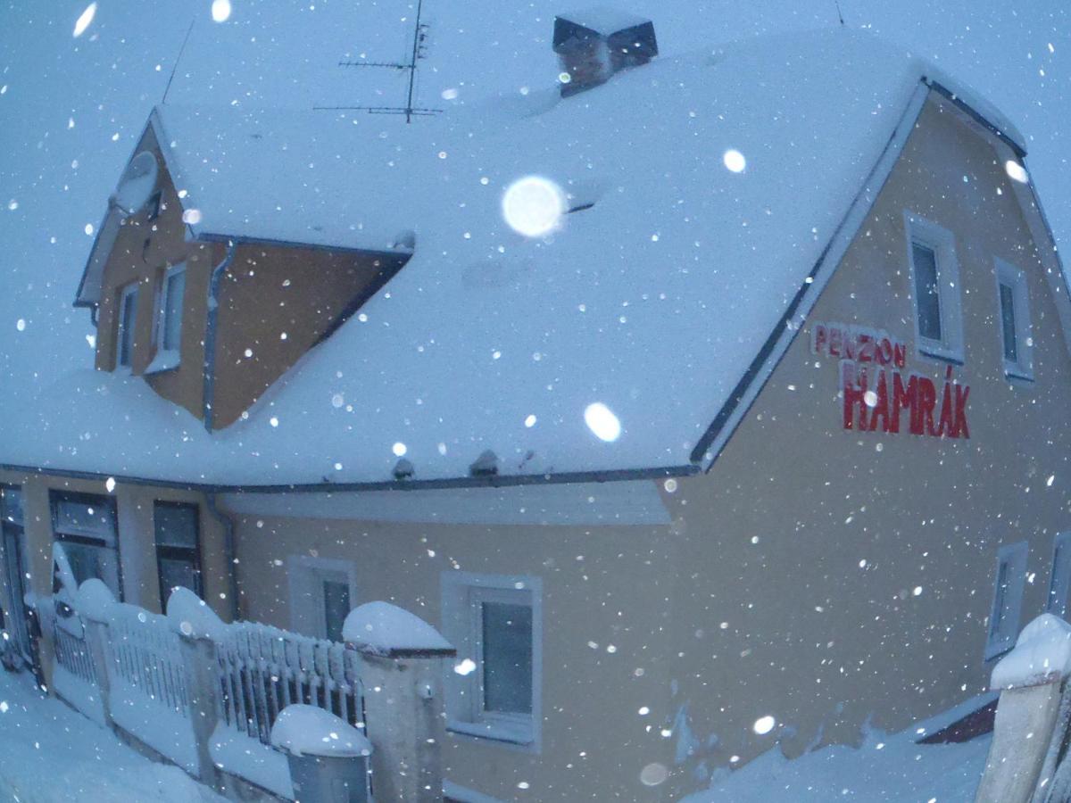 Penzion Hamrak Ceske Hamry Exteriör bild