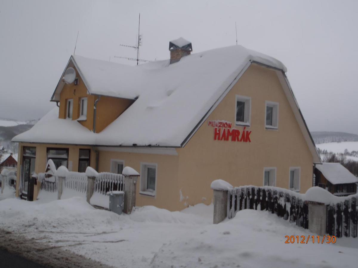 Penzion Hamrak Ceske Hamry Exteriör bild
